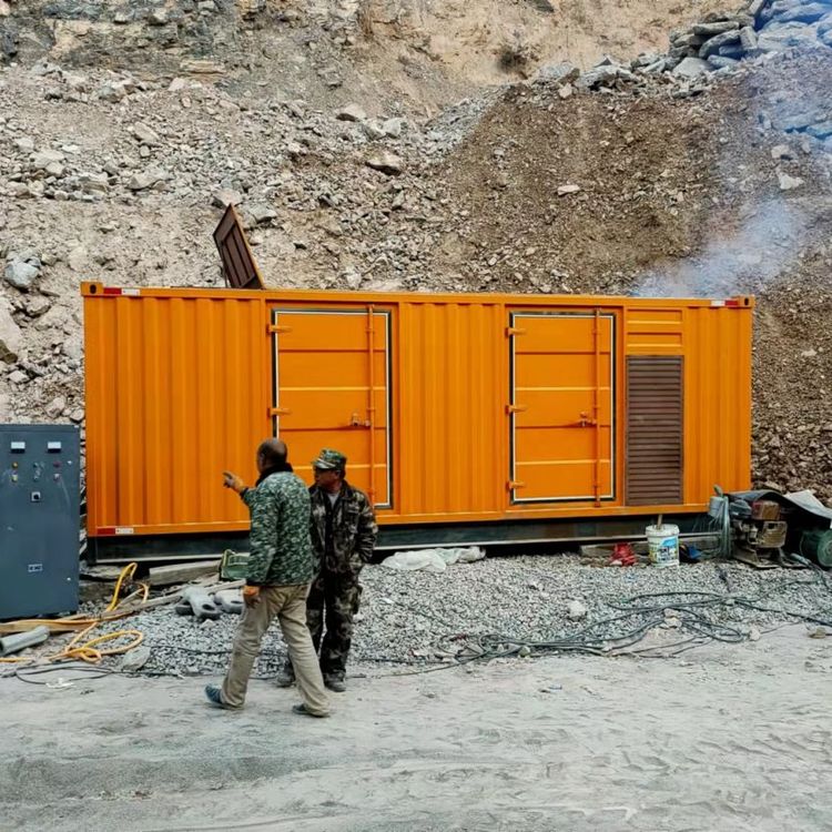 布尔津如何选择适合自己的 800KW 柴油发电机组？